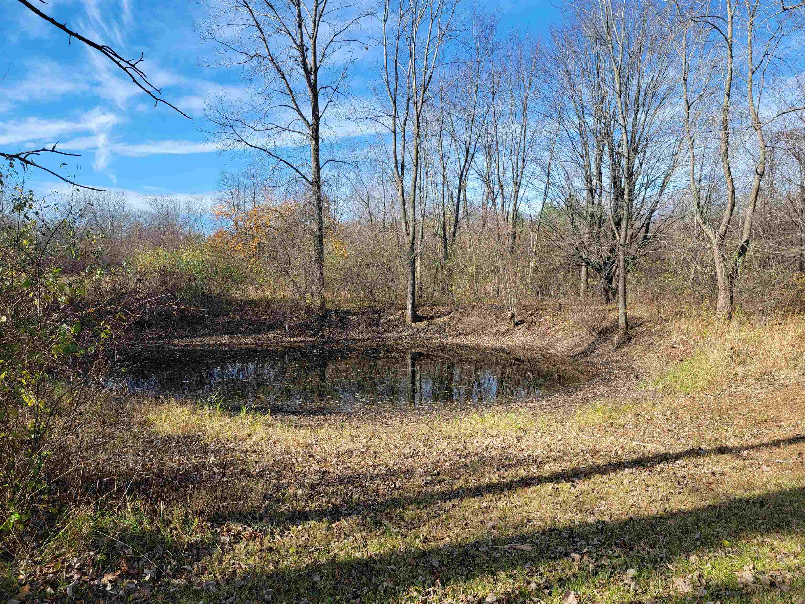 5185 North Center Road Flint, MI 48506 - Photo 44 of 65 50095246-43.JPG