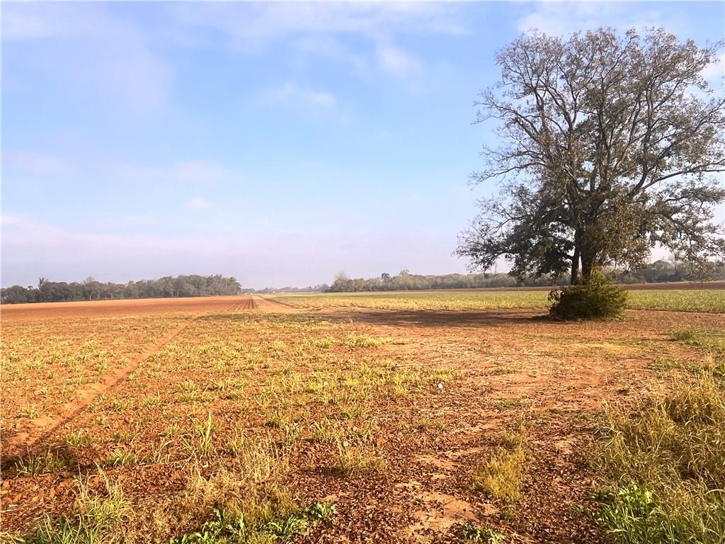 596 Crackville Road Evergreen, LA 71333 - Photo 2 of 6