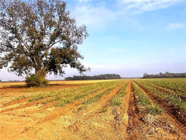 $412,500 | 596 Crackville Road, Evergreen, LA 71333