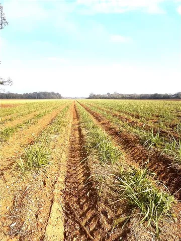 $412,500 | 596 Crackville Road, Evergreen, LA 71333