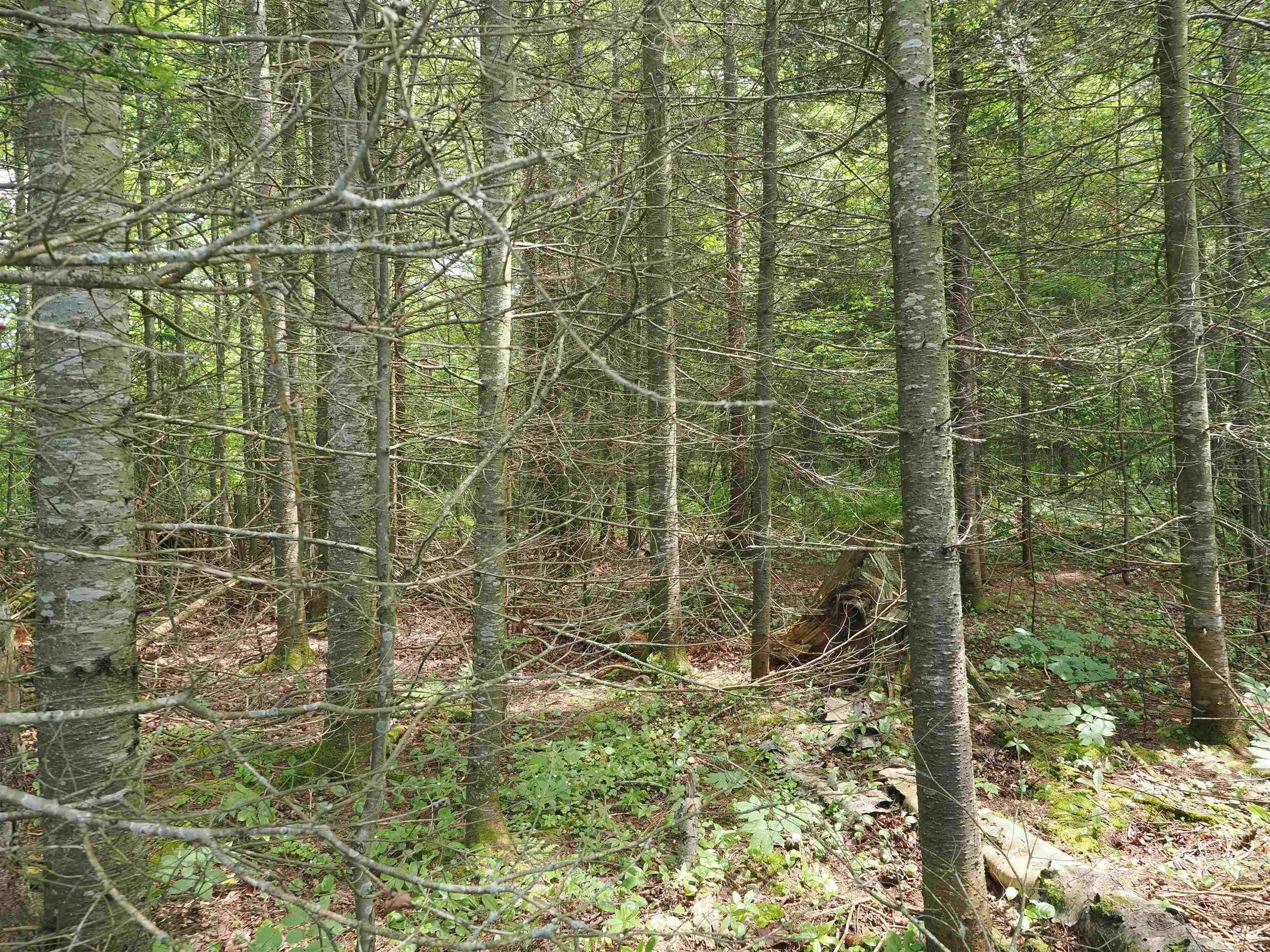 5 West 5 Mile Road Sault Ste. Marie, MI 49783 - Photo 24 of 30
