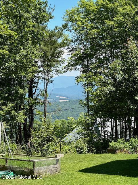509 Colfax Road Jackson, NY 12816 - Photo 2 of 32 image2