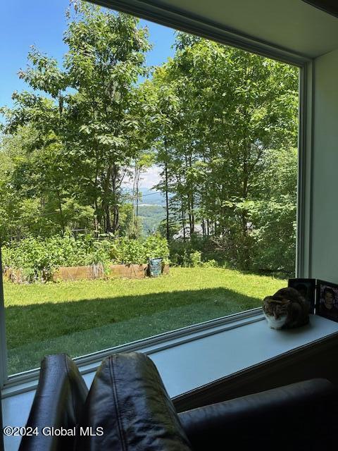 509 Colfax Road Jackson, NY 12816 - Photo 26 of 32 IMG_2995