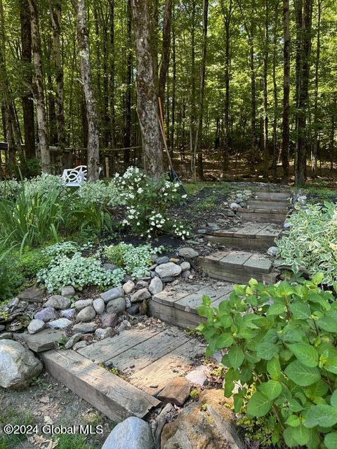 509 Colfax Road Jackson, NY 12816 - Photo 29 of 32 IMG_2937