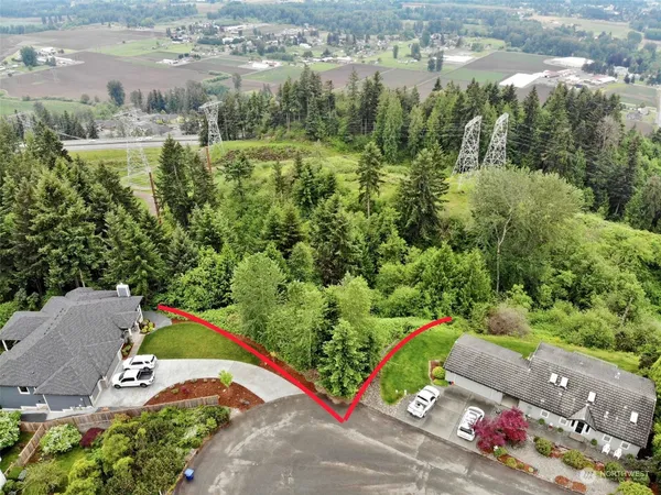 a view of a street with a tree in the background