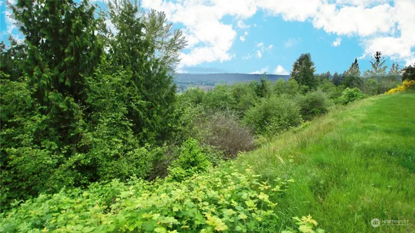 a view of a lake with houses in the back