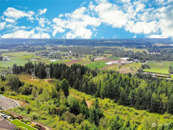 a view of a city with lots of green space