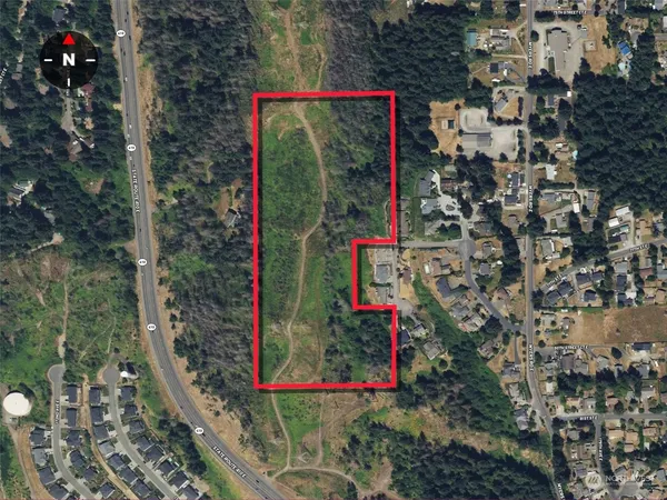 a view of a yard with plants and large trees