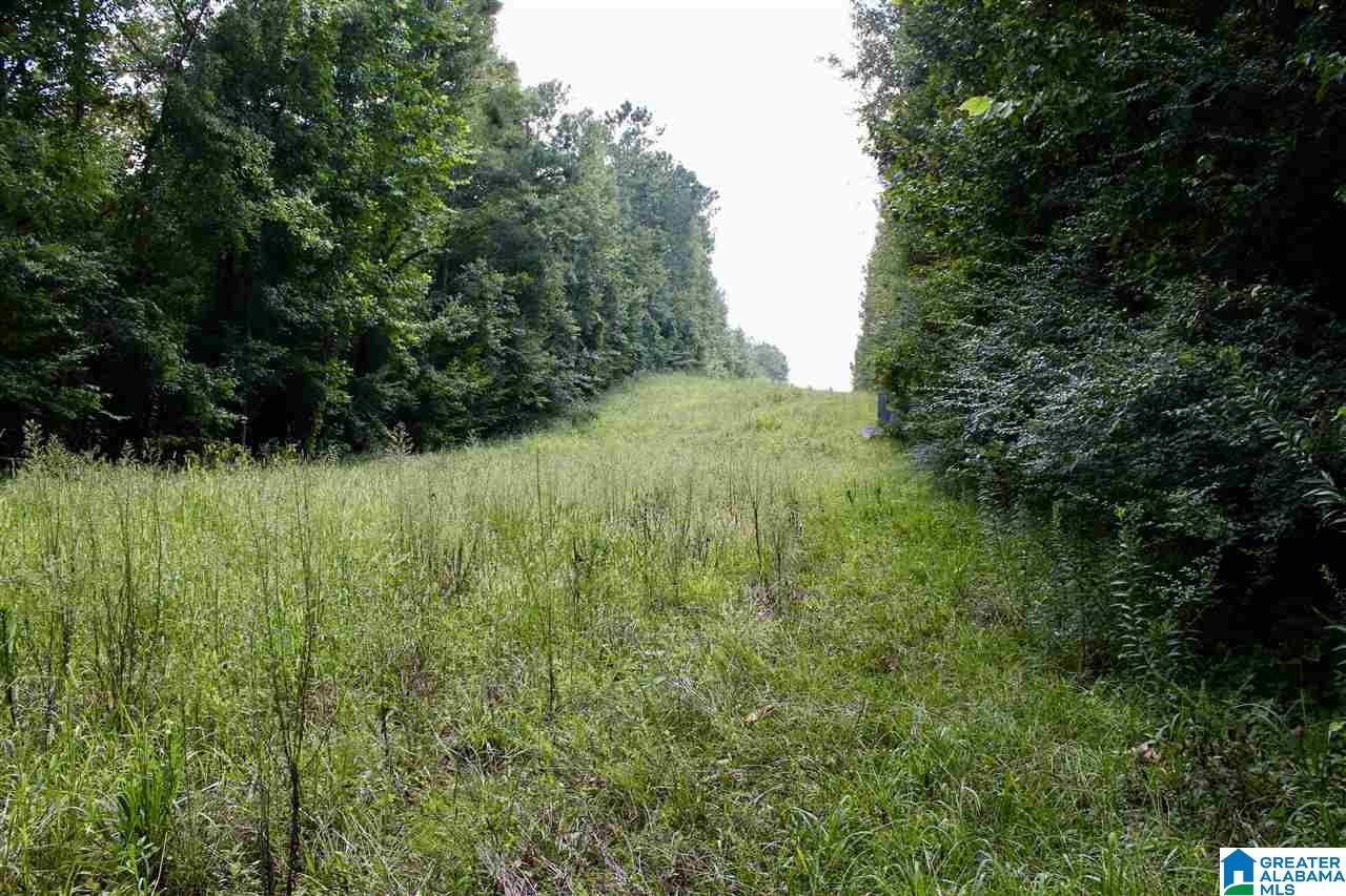 19480 Banks Creek Road Woodstock, AL 35188 - Photo 20 of 22