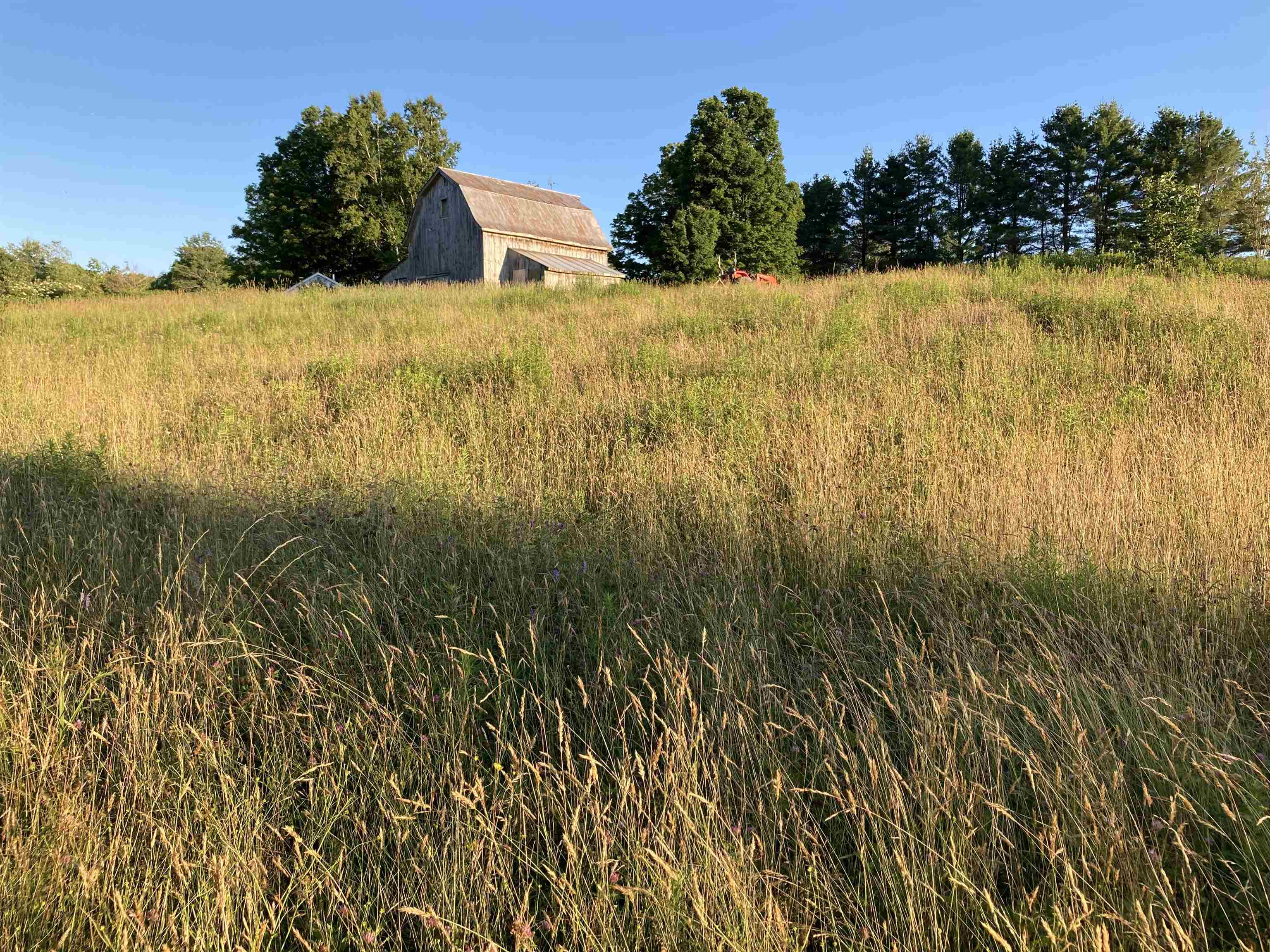 2384 Shunpike Road Mount Holly, VT 05758 - Photo 28 of 40