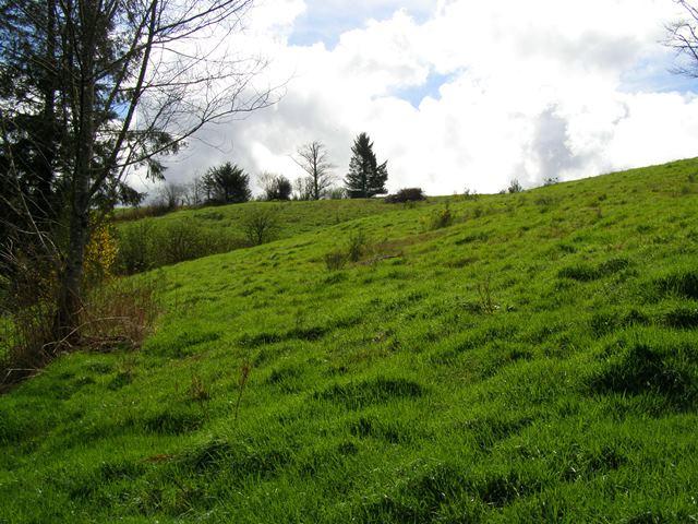 41 Skyview Road Tillamook, OR 97141 - Photo 24 of 33 P3180285
