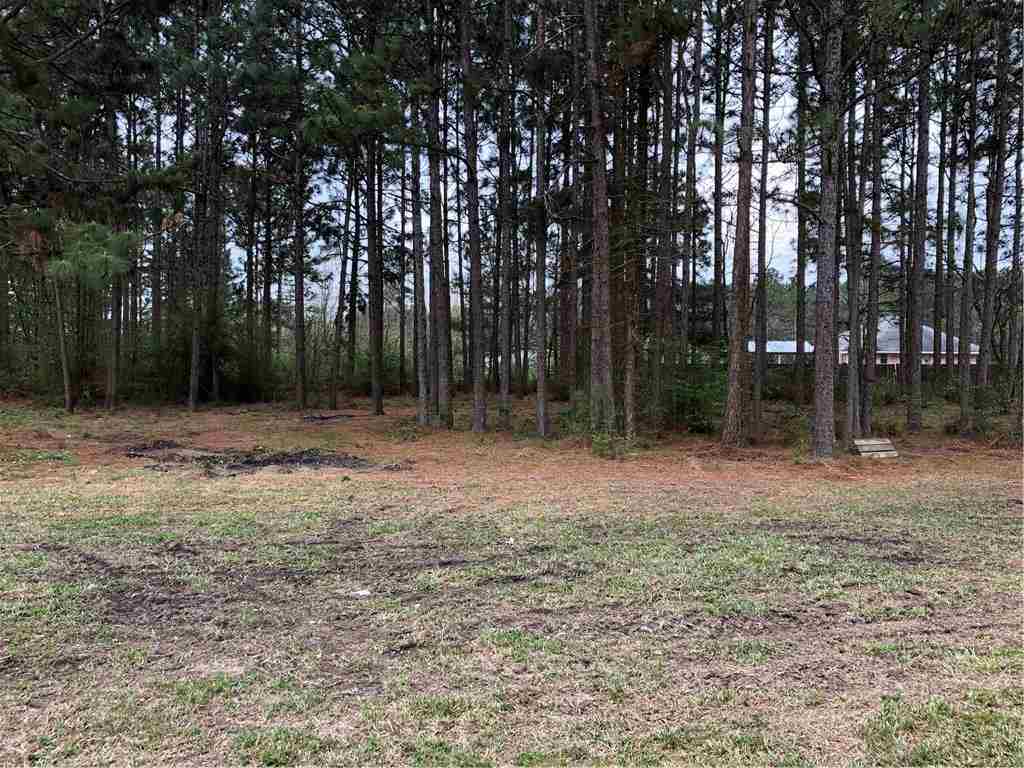 65005 Dummyline Road Amite, LA 70422 - Photo 17 of 24 Gallery Image 17