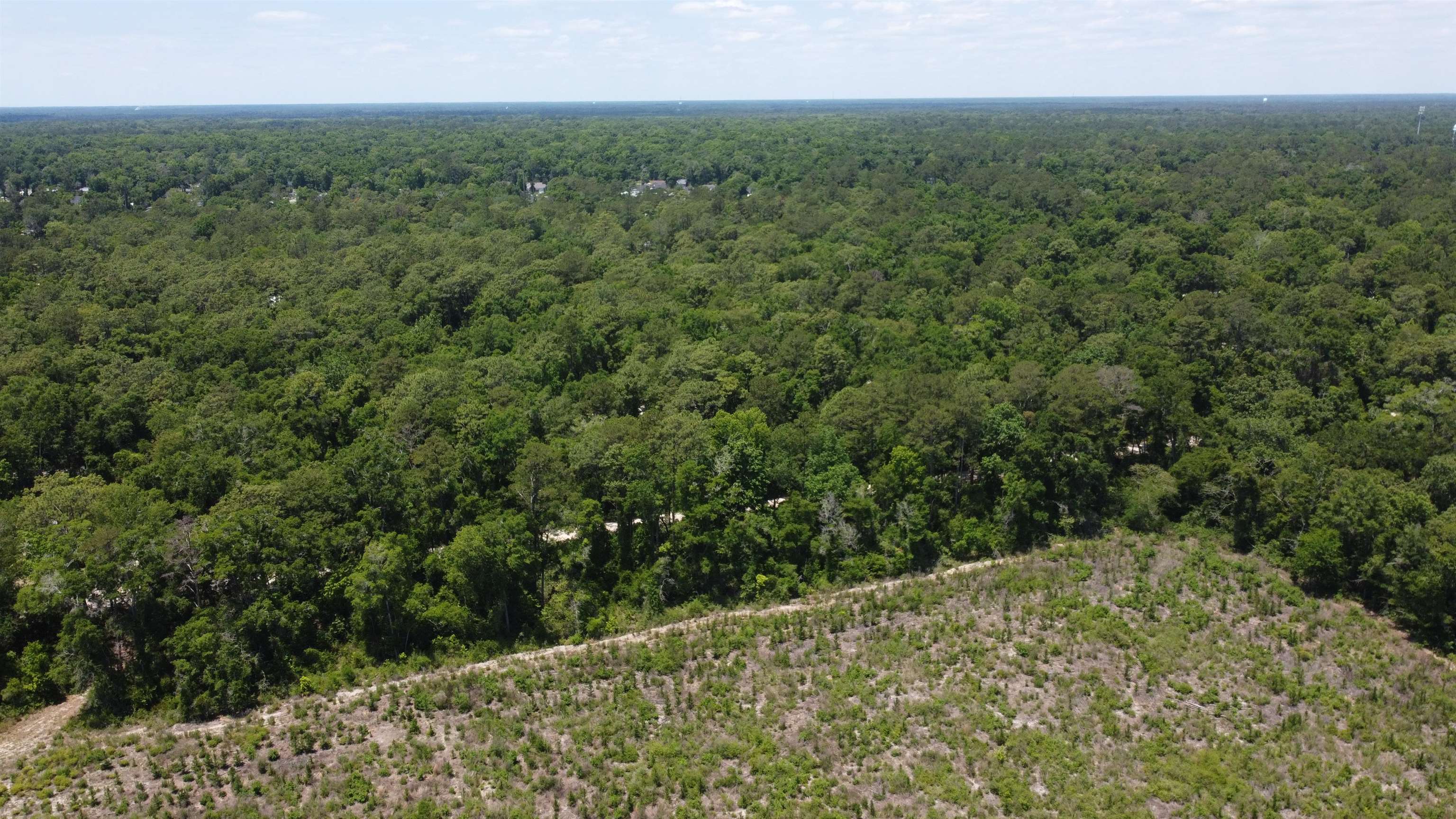 Xx Iroquois Road Crawfordville, FL 32327 - Photo 6 of 14