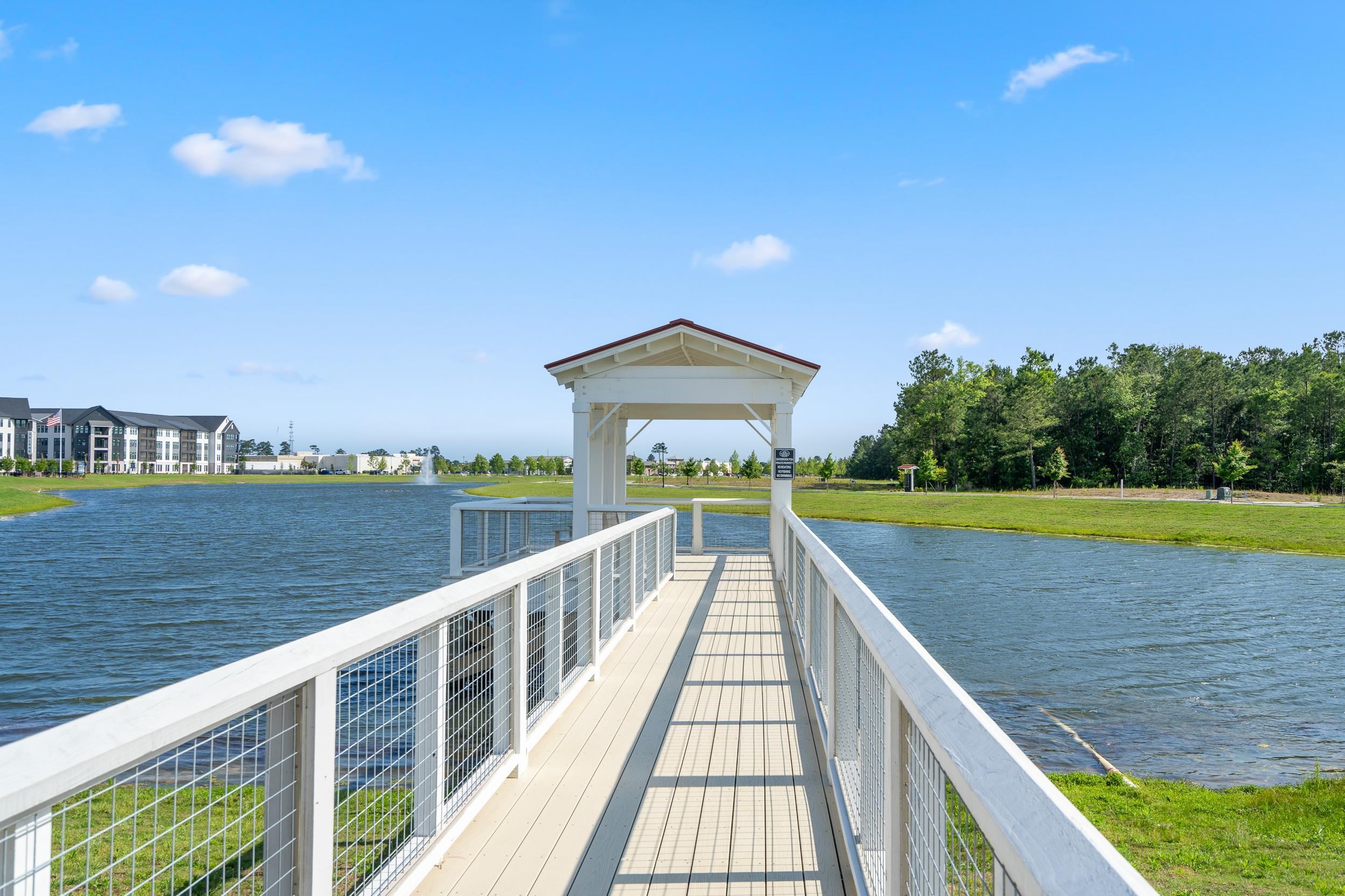 222 Delano Way Myrtle Beach, SC 29588 - Photo 46 of 47