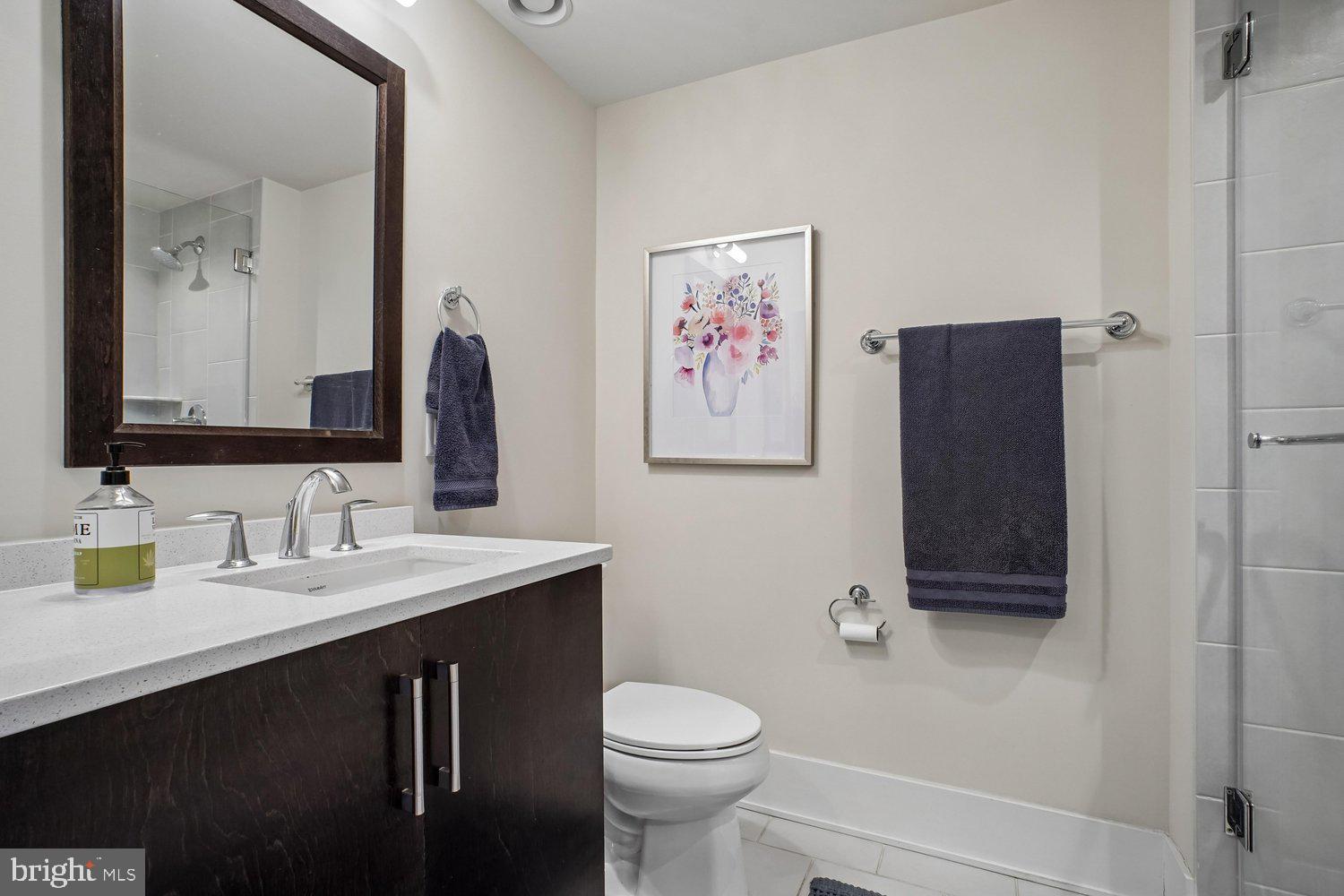 5344 Merriam Street Bethesda, MD 20814 - Photo 39 of 70 Hall Bath