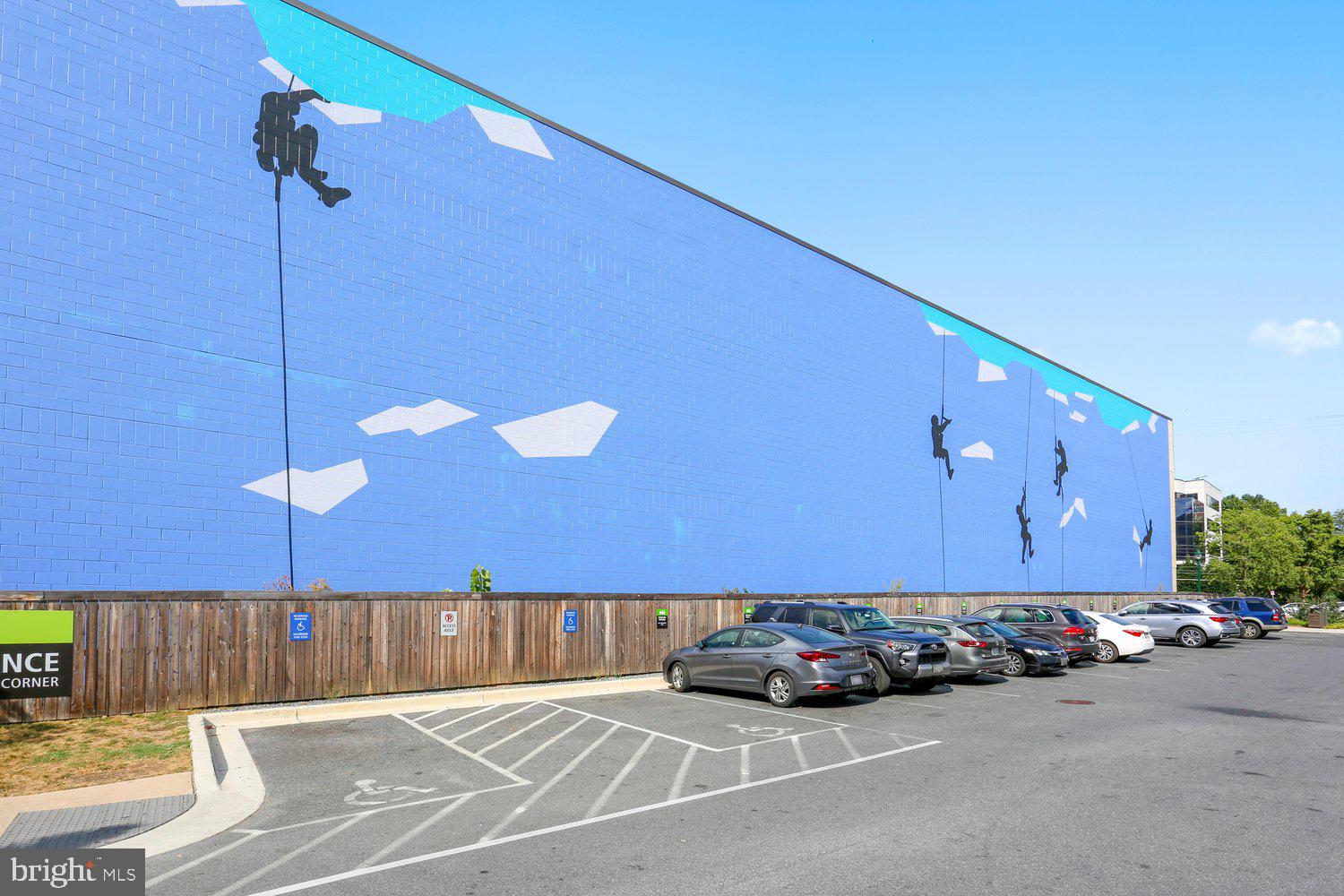 5344 Merriam Street Bethesda, MD 20814 - Photo 67 of 70 REI Mural