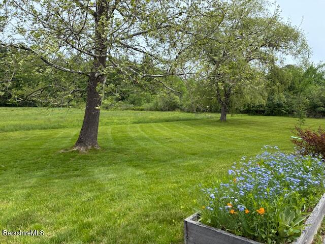 42 Mt Washington Road Egremont, MA 01230 - Photo 19 of 20 IMG_6867