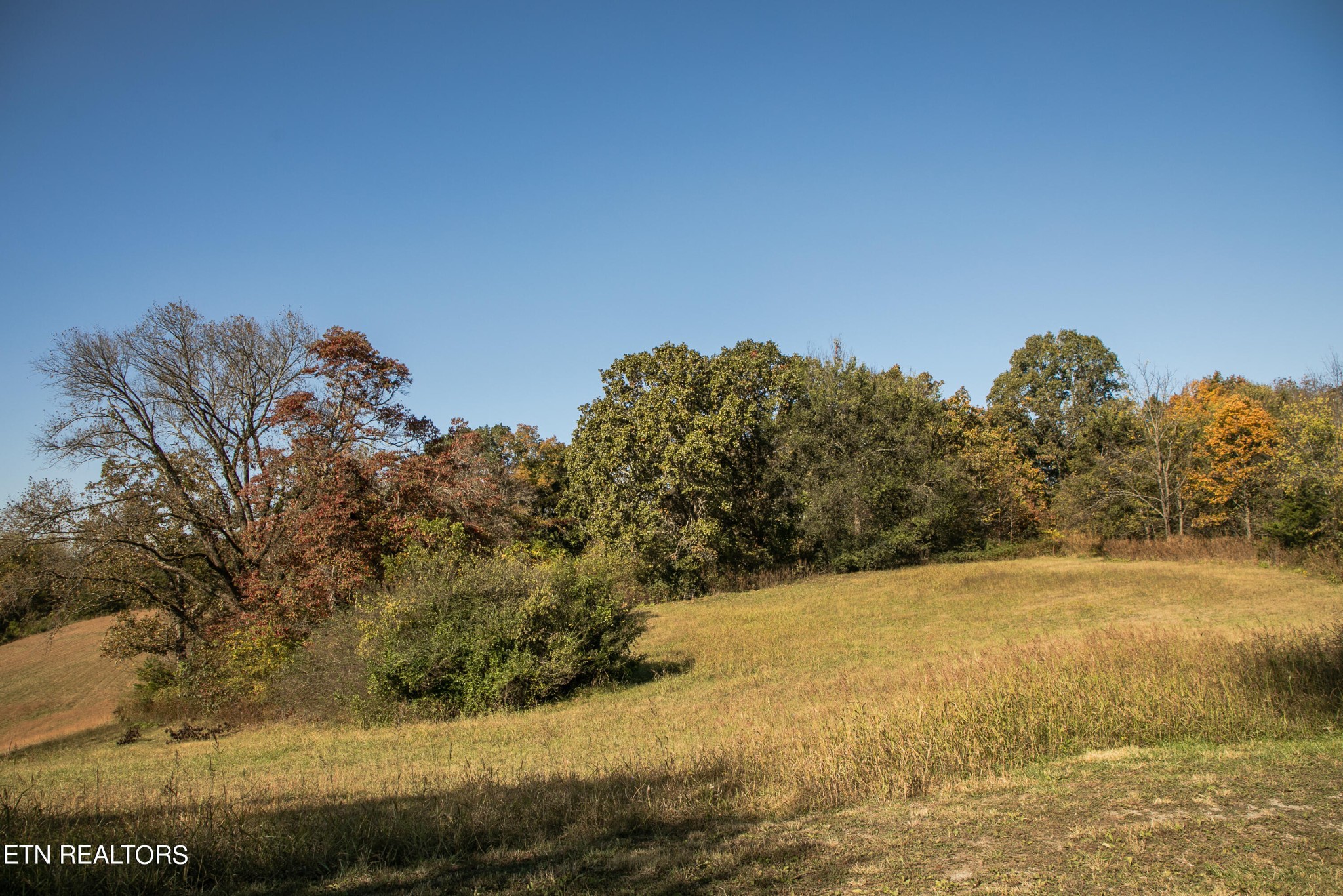 1735 Redwing Lane New Market, TN 37820 - Photo 20 of 33 a view of ocean view