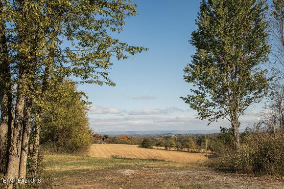1735 Redwing Lane New Market, TN 37820 - Photo 22 of 33