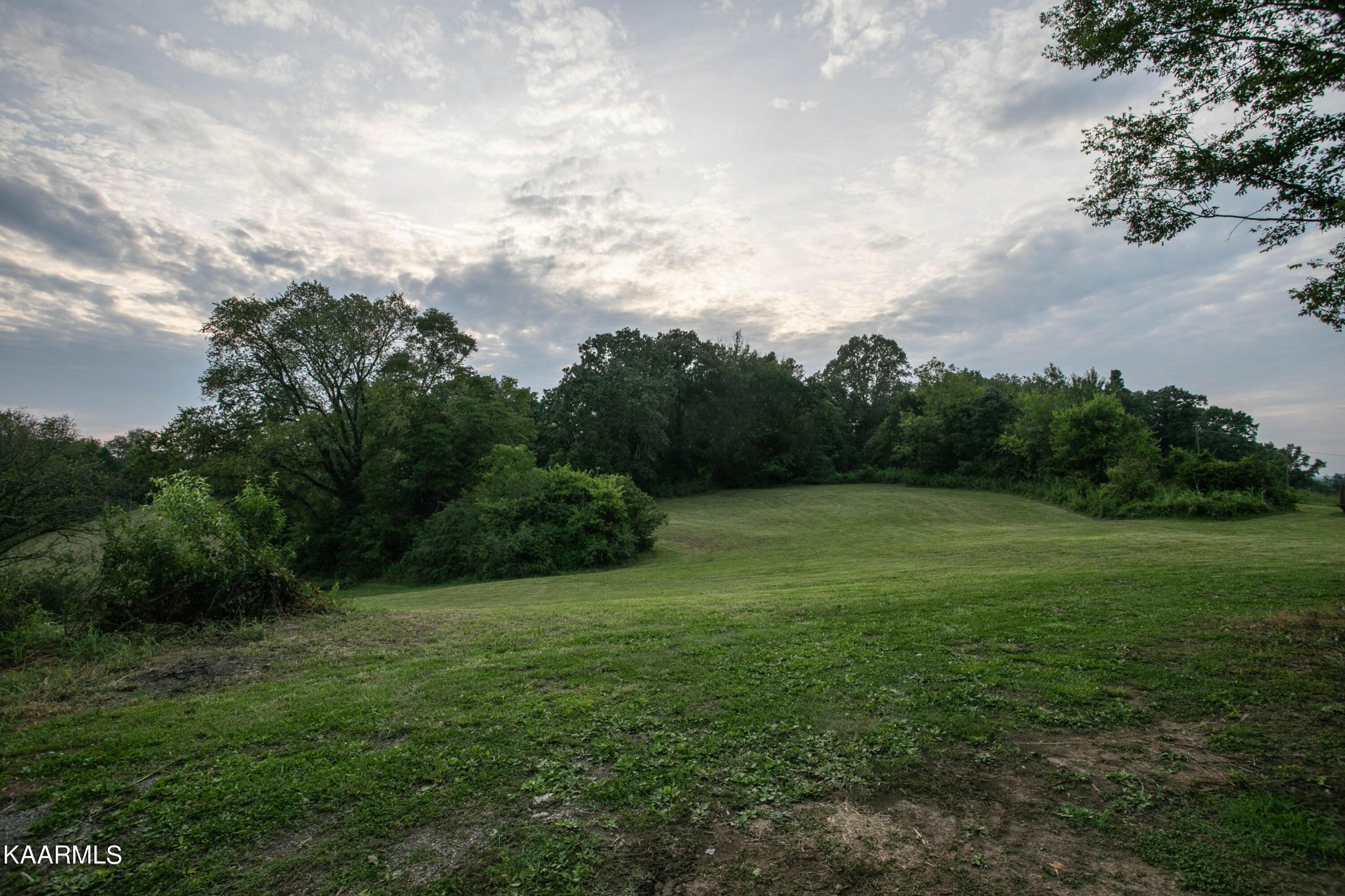 1735 Redwing Lane New Market, TN 37820 - Photo 24 of 33 a view of an outdoor space and a yard