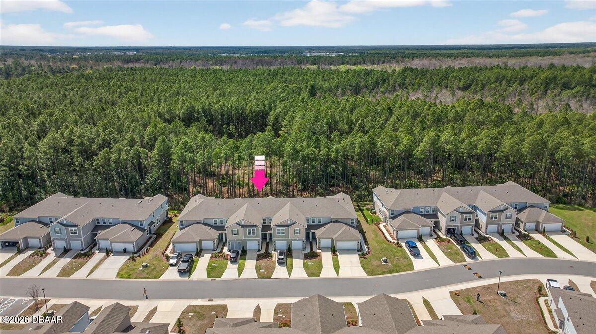 339 Redbud Road Palm Coast, FL 32137 - Photo 42 of 50 06-DJI_0054 (1)