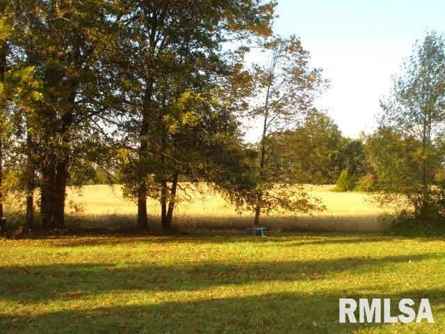4634 Blackbird Road Mulkeytown, IL 62865 - Photo 15 of 17 Gallery Image 15