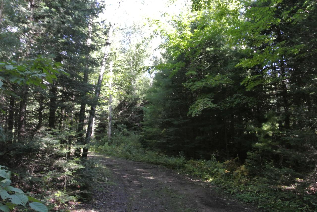 Three Crystal Lake Road Three Lakes, WI 54562 - Photo 6 of 9 Gallery Image 6