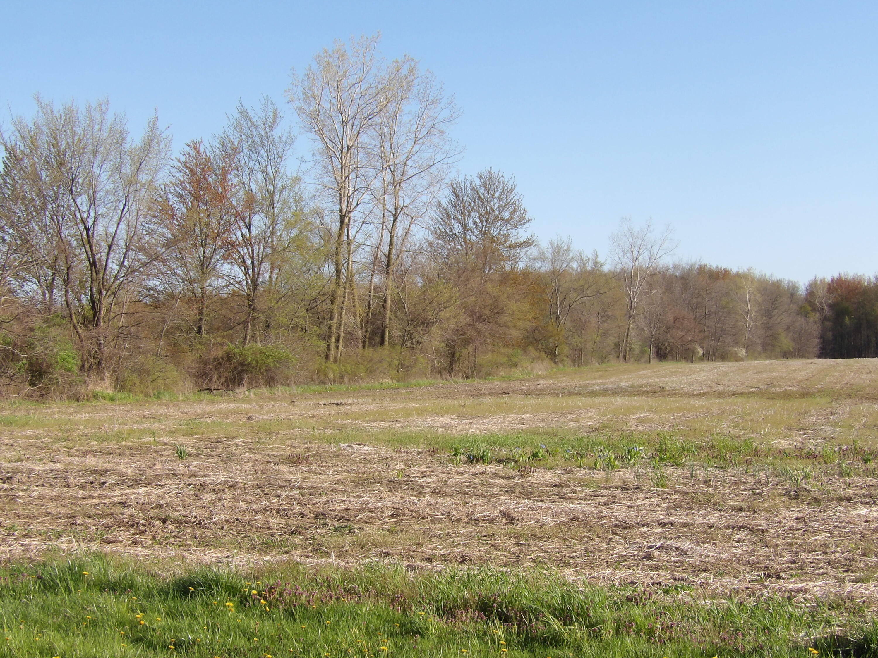 7380 Pleasant View Road Waldron, MI 49288 - Photo 7 of 8 230_0504