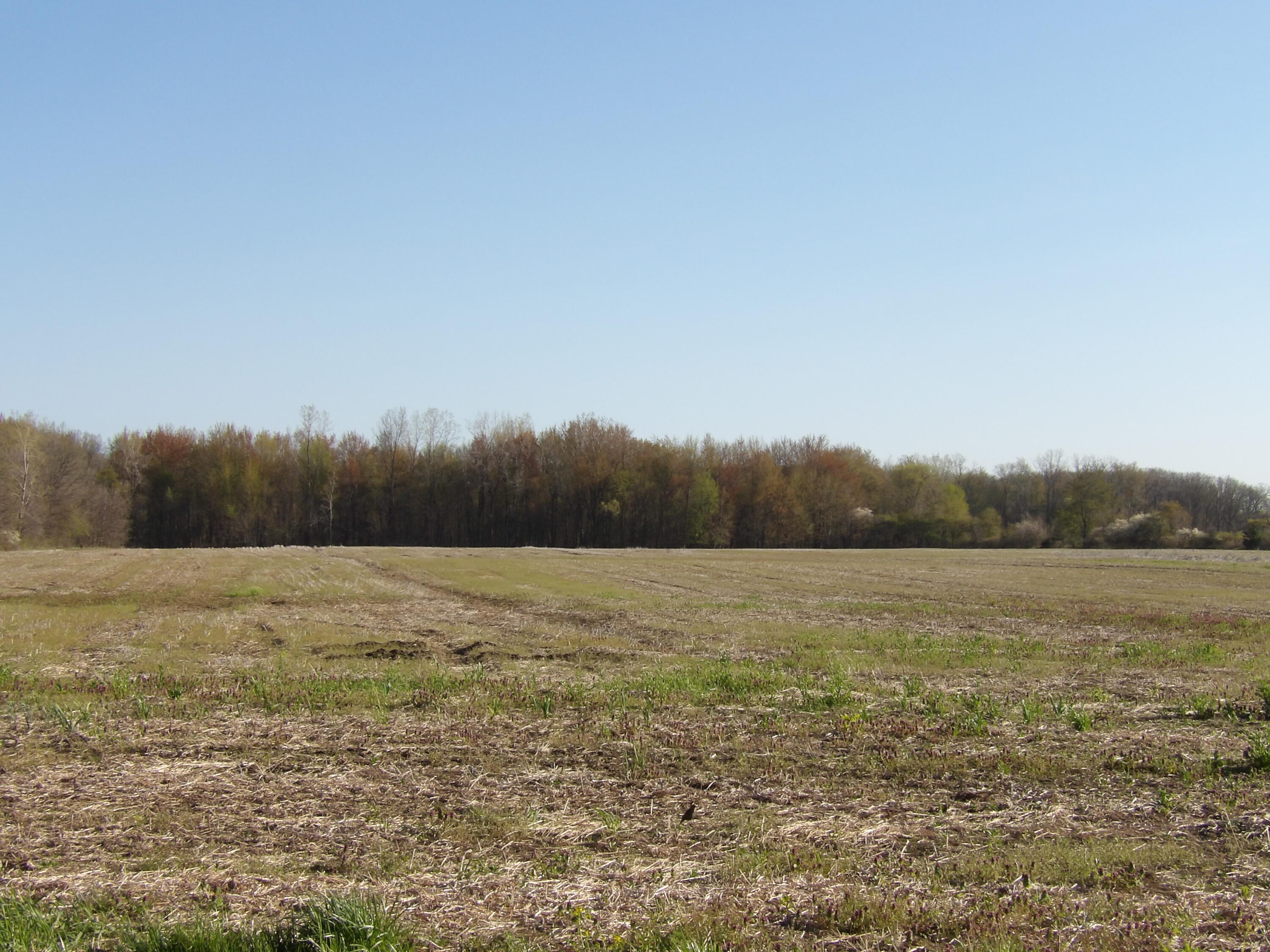 7380 Pleasant View Road Waldron, MI 49288 - Photo 8 of 8 230_0505