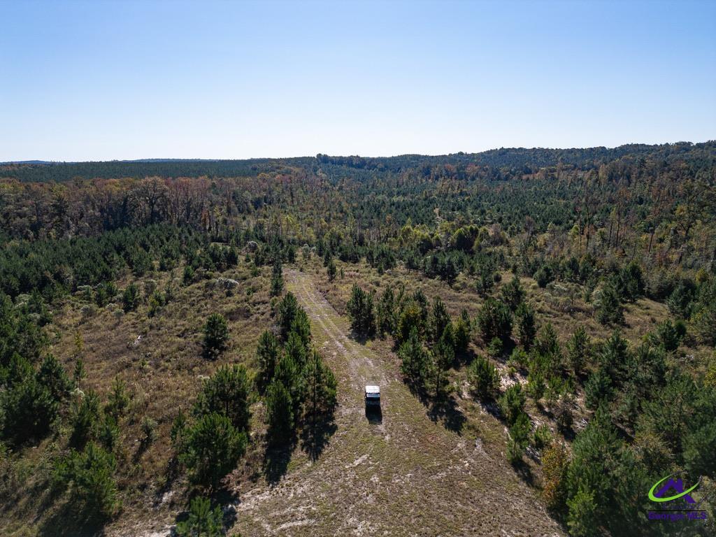 1190 Wriley Road McIntyre, GA 31054 - Photo 15 of 25