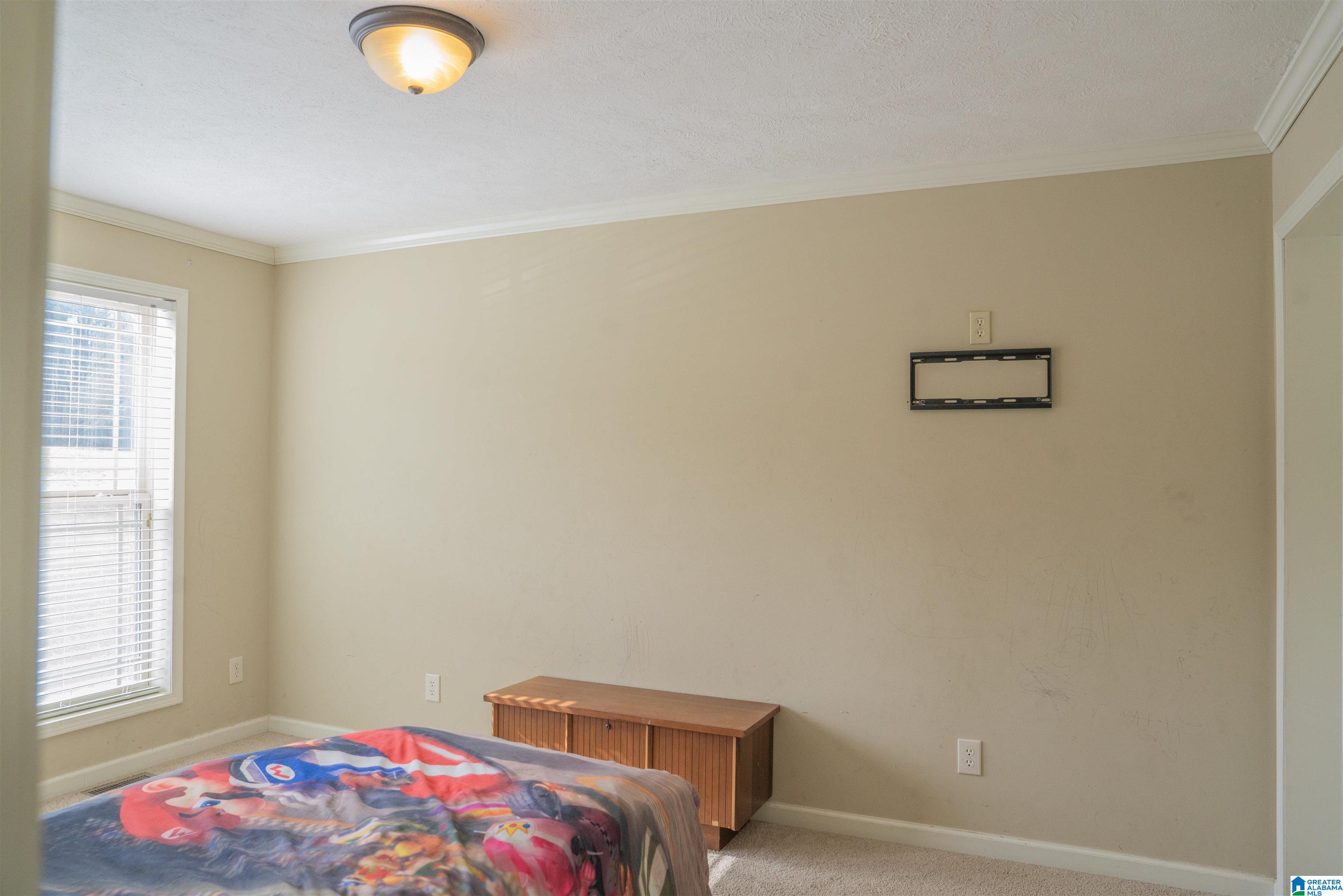 3410 Highway 132 Oneonta, AL 35121 - Photo 22 of 46