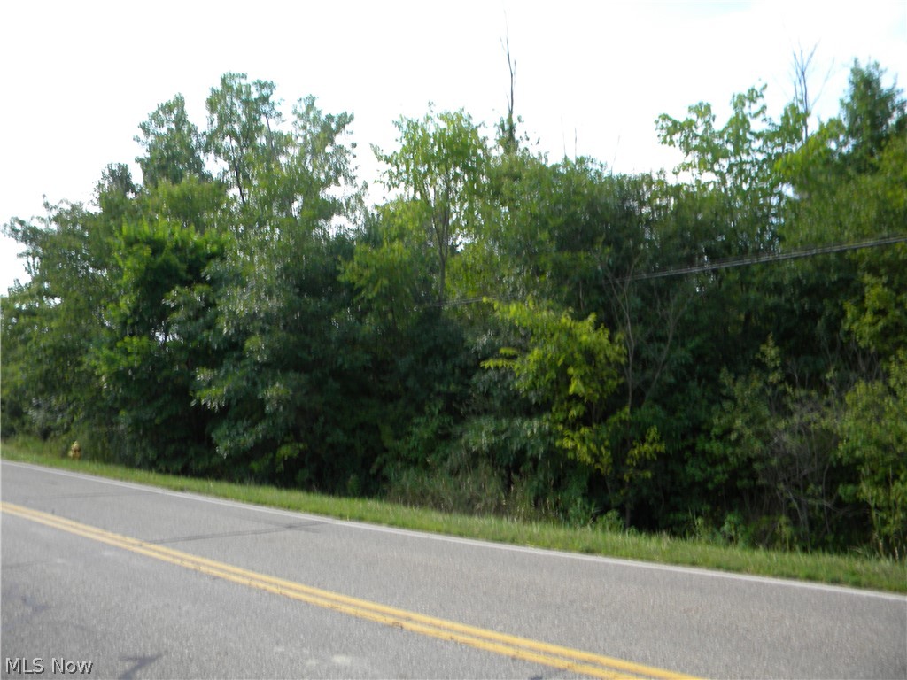 Hallock Young Warren, OH 44481 - Photo 1 of 5 360 feet of wooded street frontage with possible split options available.