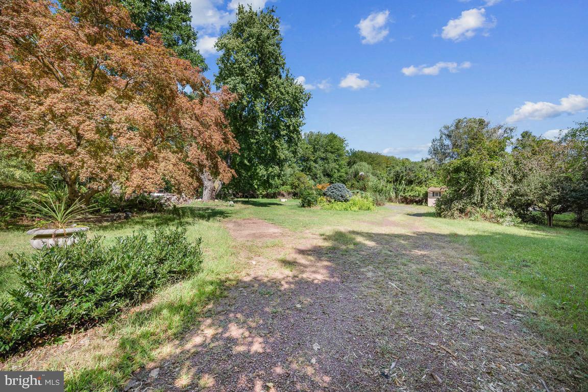 a view of outdoor space with trees all around