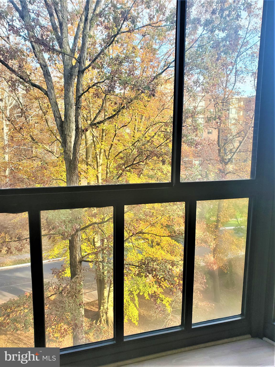 15100 Interlachen Drive, Unit 4516 Silver Spring, MD 20906 - Photo 14 of 28 View of Fall Foliage and Blue Sky
