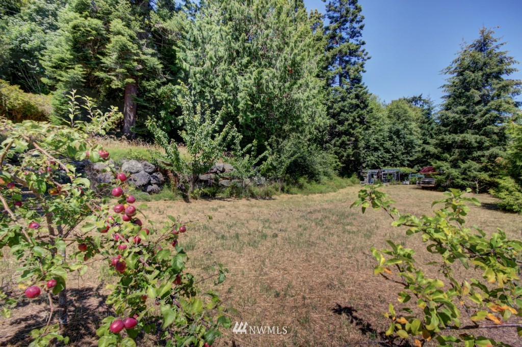 2423 South Point Road Port Ludlow, WA 98365 - Photo 11 of 15 Gallery Image 11