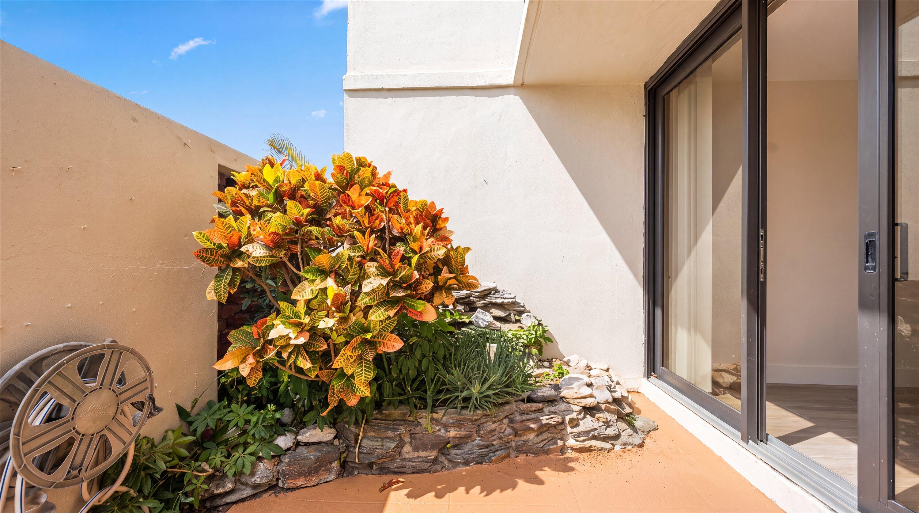225 South Beach Road, Unit 102 Jupiter, FL 33469 - Photo 4 of 22 a plant that is in front of a door