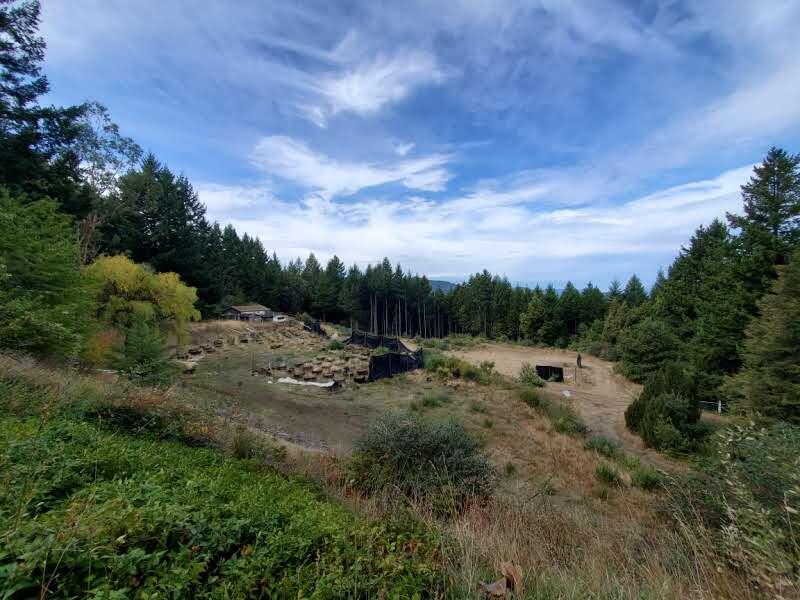 5050 Wilder Ridge Road Garberville, CA 95542 - Photo 4 of 43 20211019_123839