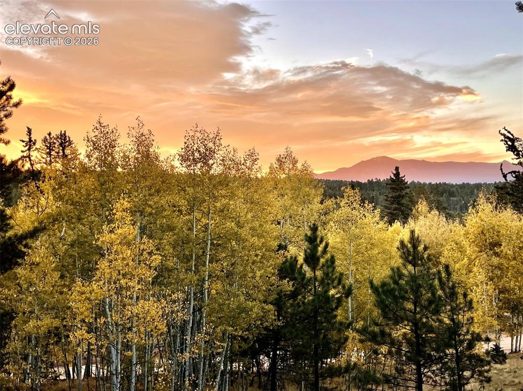 2927 Pathfinder Road Florissant, CO 80816 - Photo 3 of 37