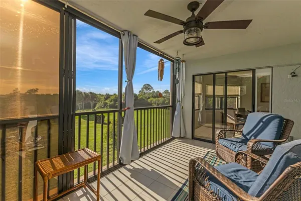 a view of a yard with plants