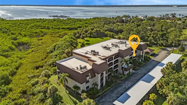 a view of a park with large trees