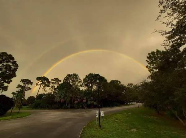 an aerial view of a house with large space and a large tree