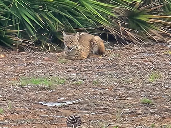 $189,995 | 23465 Harbor View Road, Unit 225, Punta Gorda, FL 33980