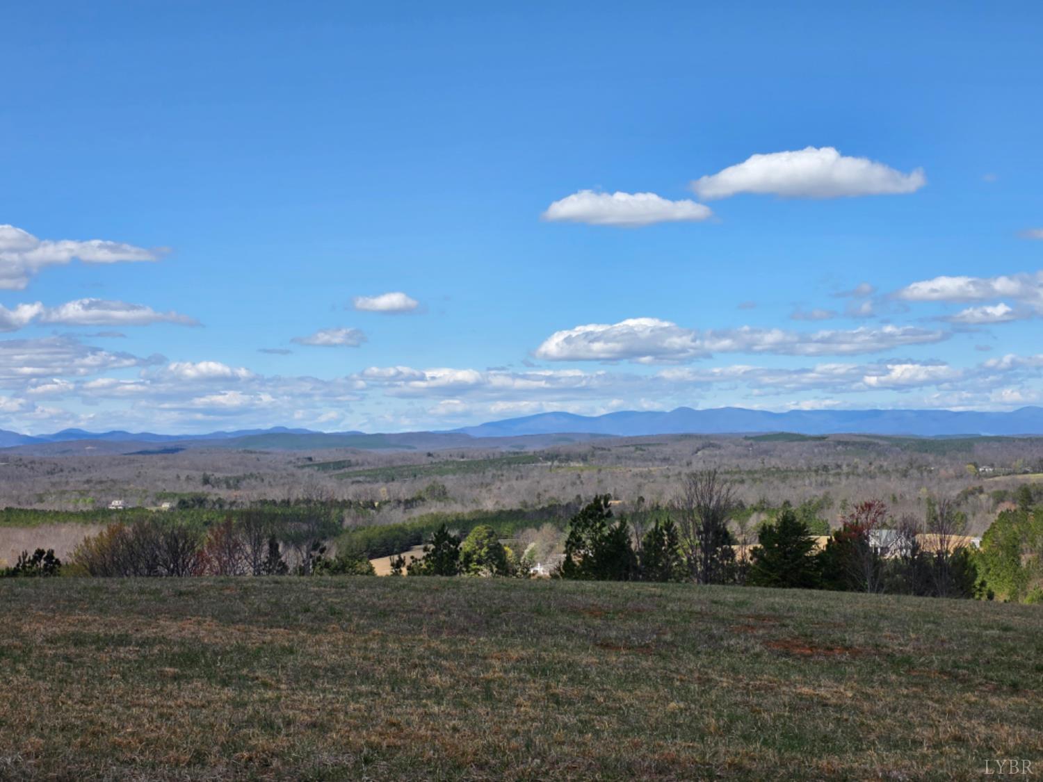 0 Skyline Road Appomattox, VA 24522 - Photo 3 of 17
