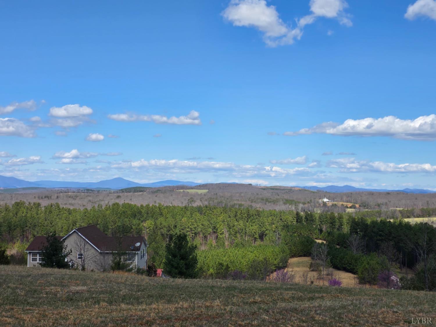 0 Skyline Road Appomattox, VA 24522 - Photo 8 of 21