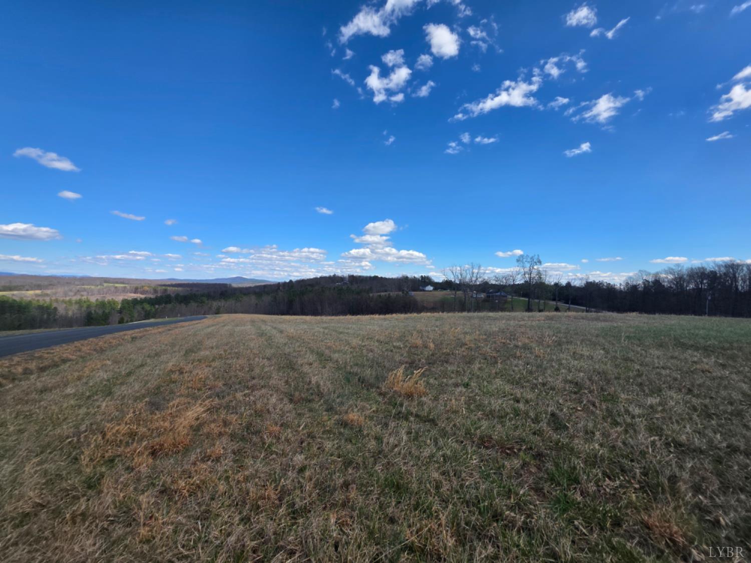0 Skyline Road Appomattox, VA 24522 - Photo 8 of 17