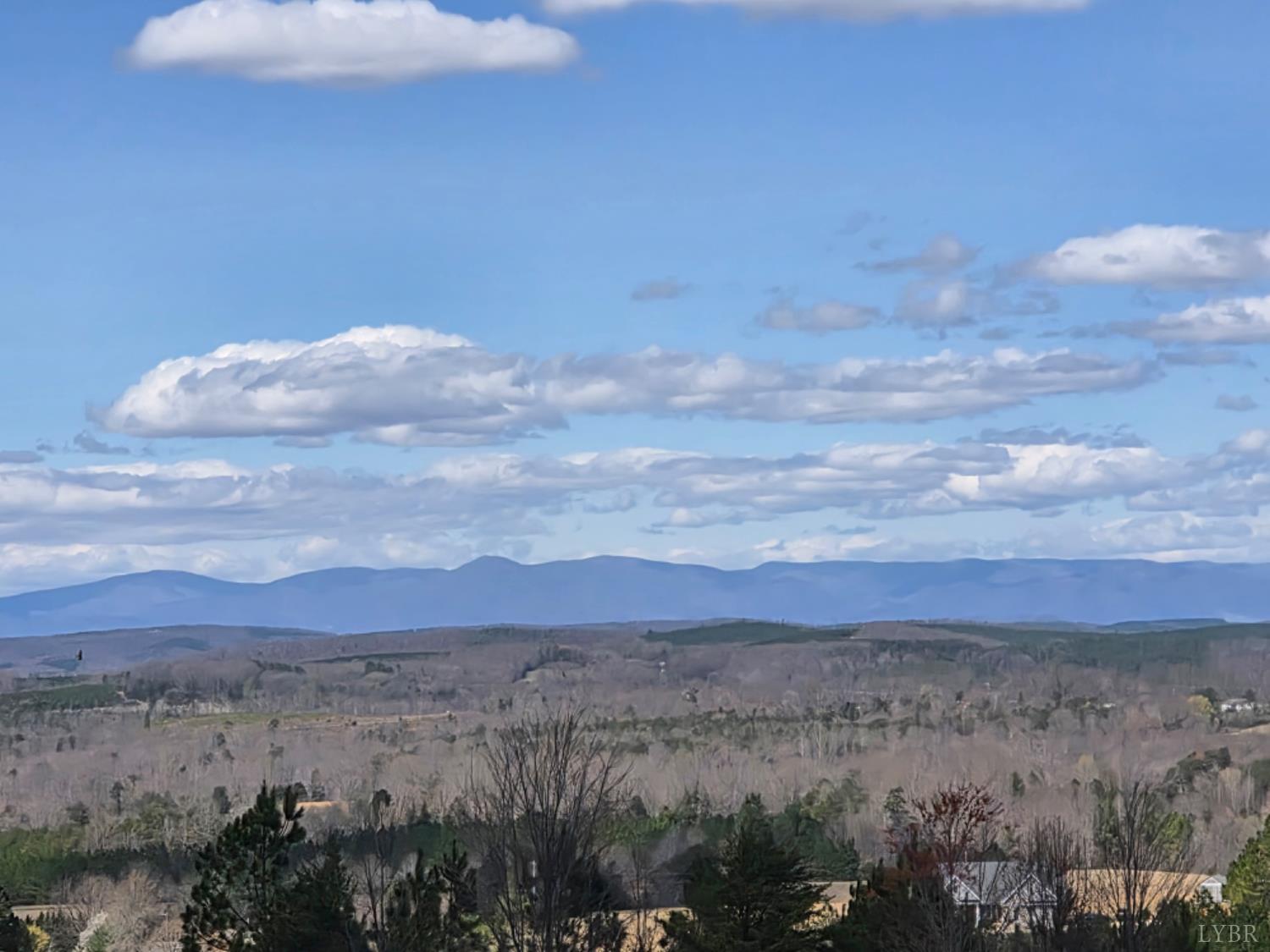 0 Skyline Road Appomattox, VA 24522 - Photo 9 of 21