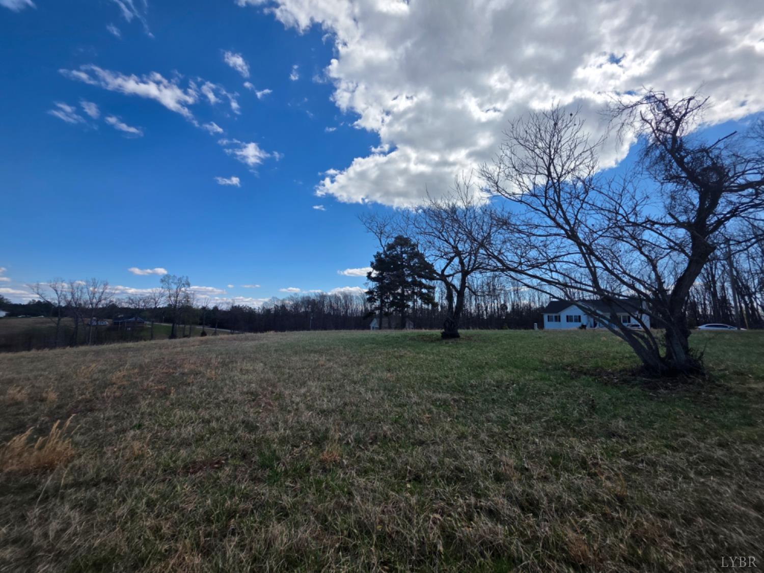 0 Skyline Road Appomattox, VA 24522 - Photo 10 of 21