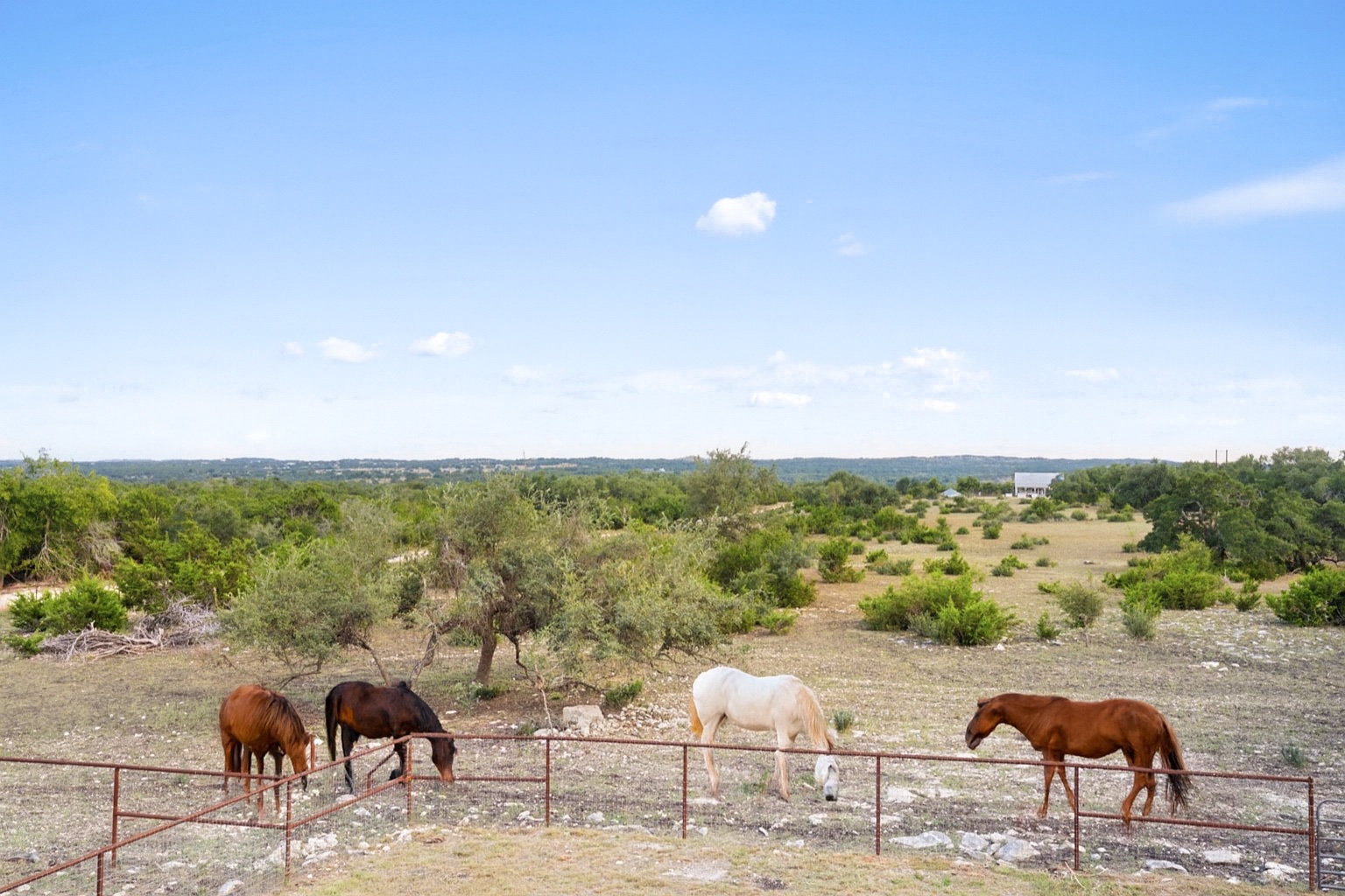 561 Broken Bit Trail Dripping Springs, TX 78620 - Photo 32 of 40 Stable featuring a view of countryside