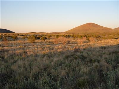 2 Central Alpine Ranch Flagstaff, AZ 86004 - Photo 9 of 10 Additional Photo