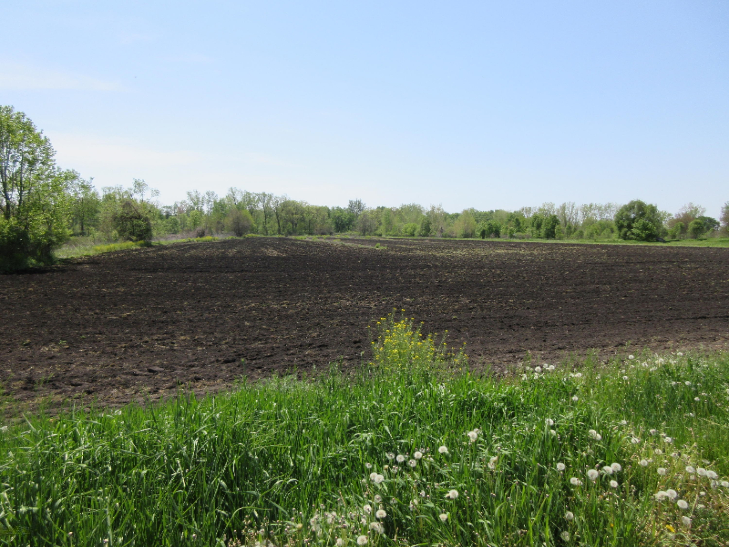 92nd Avenue Decatur, MI 49045 - Photo 1 of 18 IMG_1206